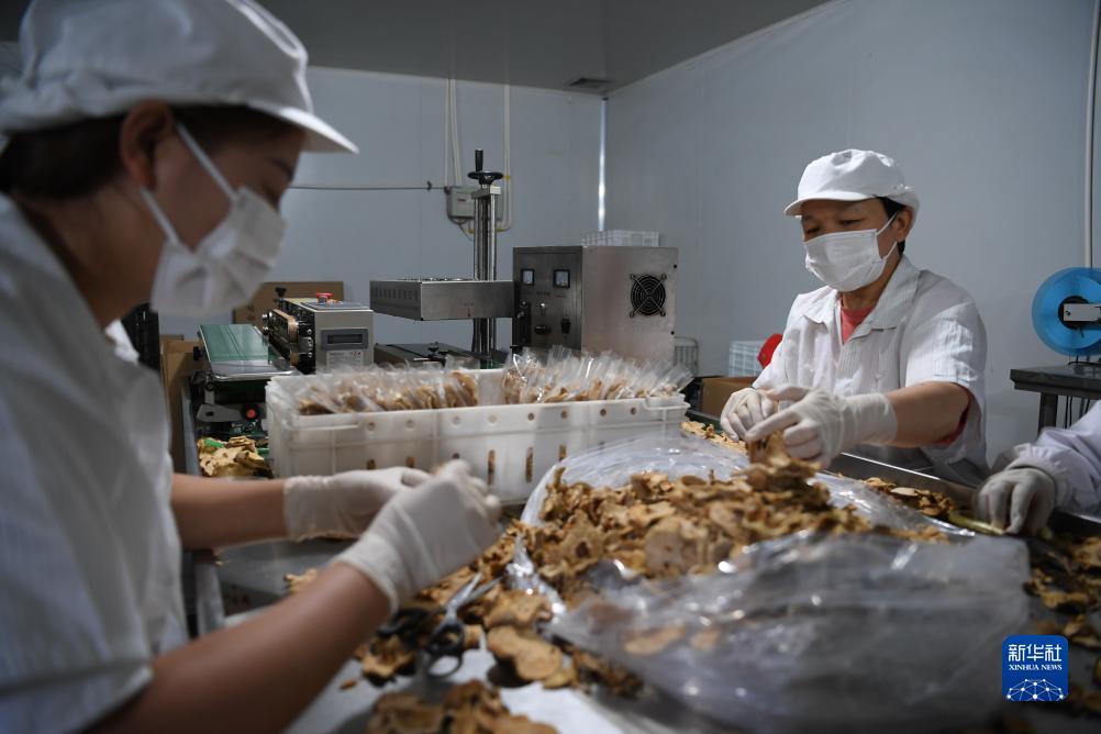 葡京电子娱乐